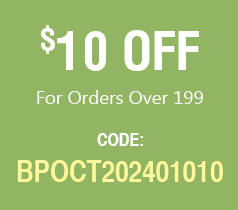 $10 OFF For Orders Over 199